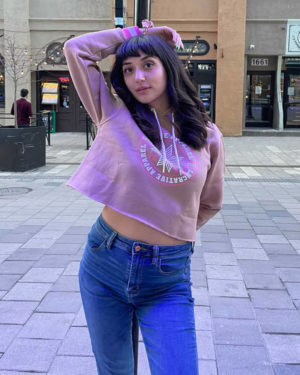 Vintage Crop Top Hoodie